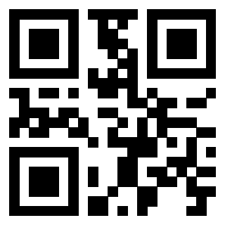 Il Qr Code di 3919558525