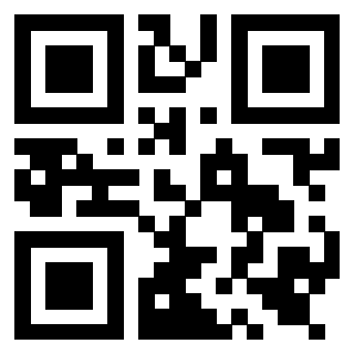 Il Qr Code di 3919558543