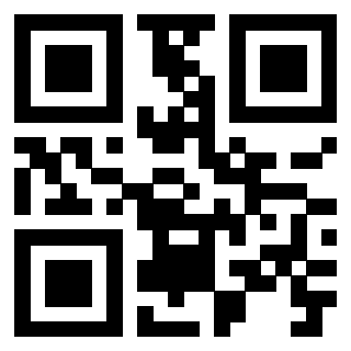 Il Qr Code di 3919558587