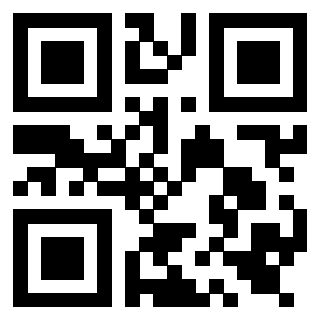 Il Qr Code di 3919558596