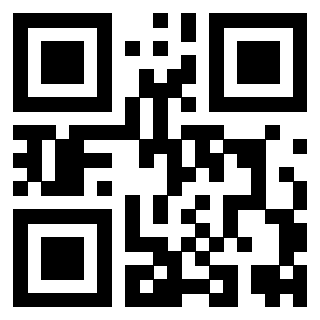 Il Qr Code di 3919558614