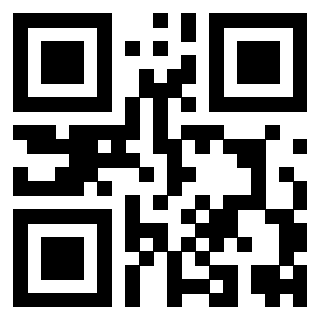 Il Qr Code di 3919558651