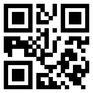 Il Qr Code di 3919558655