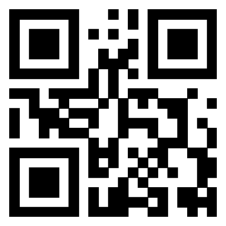 Il Qr Code di 3919558668