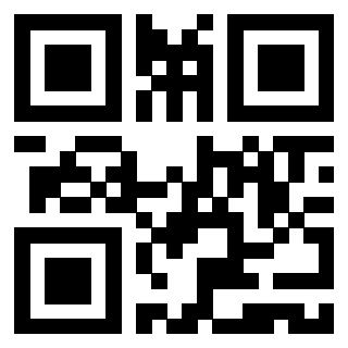 Il Qr Code di 3919558675