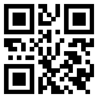 Il Qr Code di 3919558684