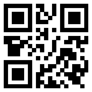 Il Qr Code di 3919558698