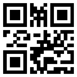 Il Qr Code di 3919560770