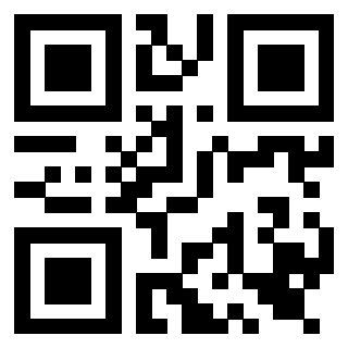 Il Qr Code di 3919560775