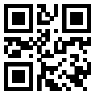 Il Qr Code di 3919560790