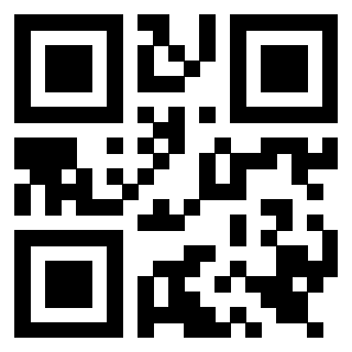 Il Qr Code di 3919560796