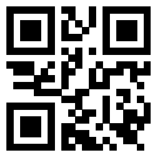 Il Qr Code di 3919560797