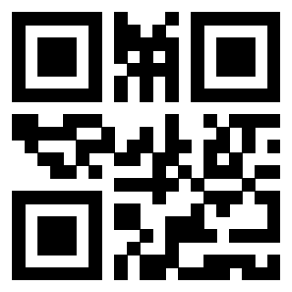 Il Qr Code di 3919560819