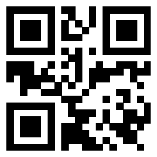 Il Qr Code di 3919560823