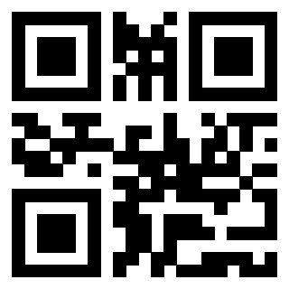 Il Qr Code di 3919560826
