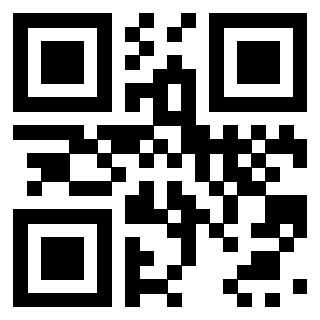 Il Qr Code di 3919560833