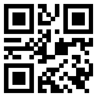 Il Qr Code di 3919560840