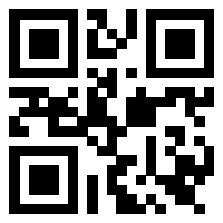 Il Qr Code di 3919560847