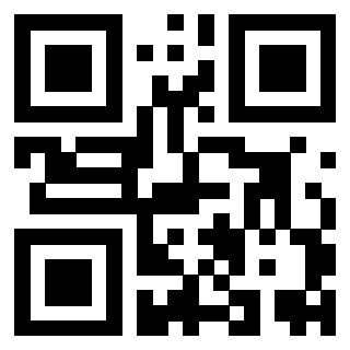 Il Qr Code di 3919560893