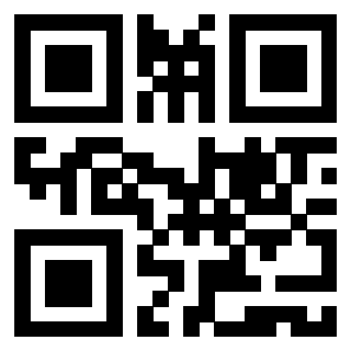 Il Qr Code di 3919560903