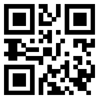 Il Qr Code di 3919560915