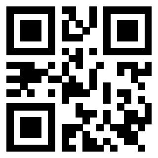 Il Qr Code di 3919560923