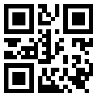 Il Qr Code di 3919560963