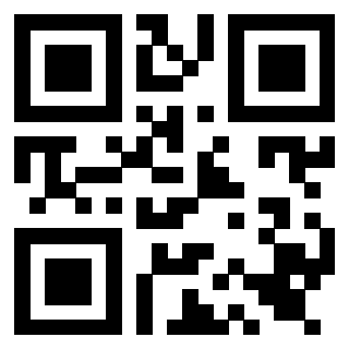 Il Qr Code di 3919560972