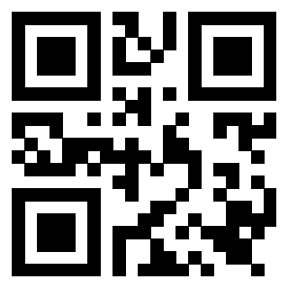 Il Qr Code di 3919560980