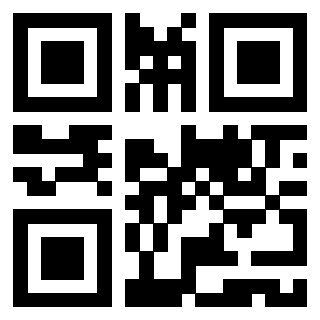 Il Qr Code di 3919560989
