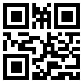 QrCode di 3919561036