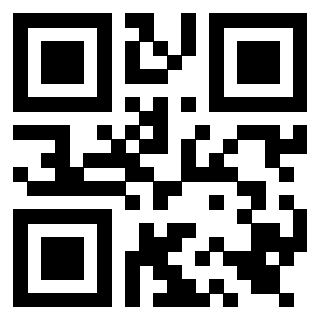 Il Qr Code di 3919561042