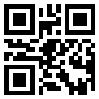 Il Qr Code di 3919561058
