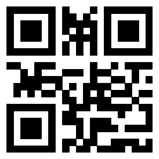 Il Qr Code di 3919561076