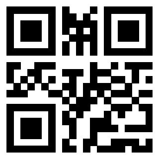 Il Qr Code di 3919561079