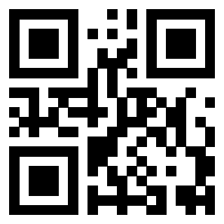 Il Qr Code di 3919561084