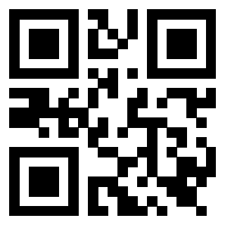 Il Qr Code di 3919561185