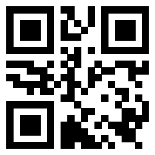 Il Qr Code di 3919561202