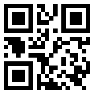 Il Qr Code di 3919561206