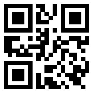 Il QrCode di 3919561251