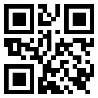 Il Qr Code di 3919561269