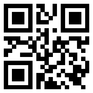 Il Qr Code di 3919561274