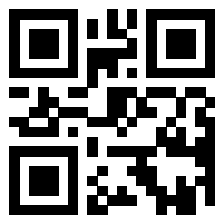 Il Qr Code di 3919561306