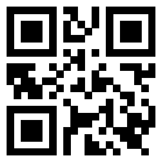 Il Qr Code di 3919561315