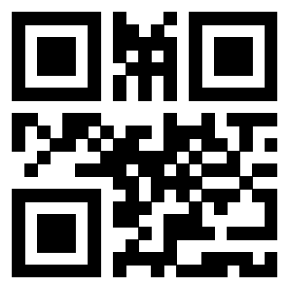 Il Qr Code di 3919561363