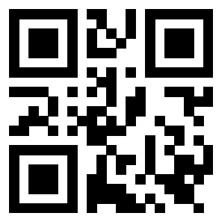 Il Qr Code di 3919561467