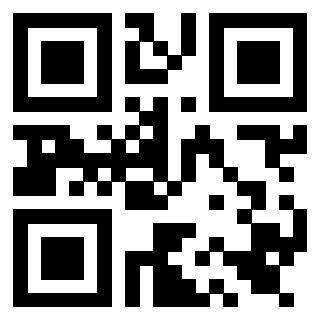 Il Qr Code di 3919561512
