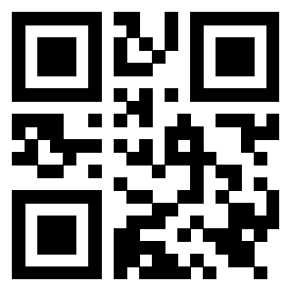 Il Qr Code di 3919561544