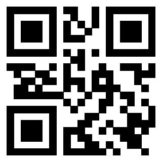 Il Qr Code di 3919561548