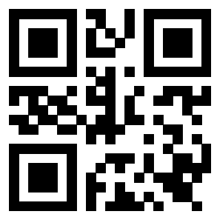 Il Qr Code di 3919561623
